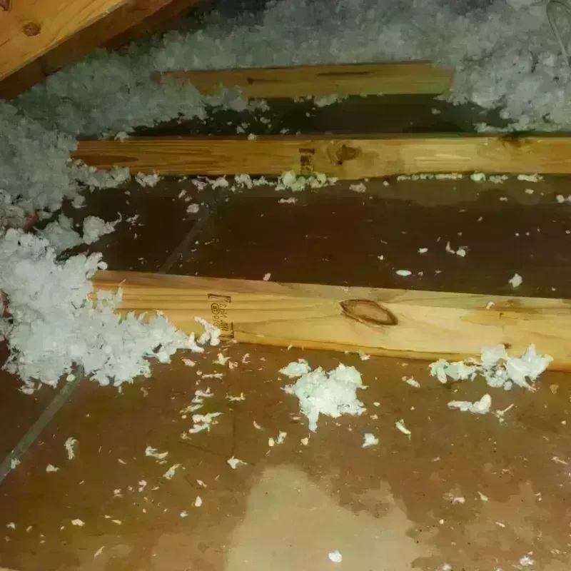 Attic Water Damage in Swannanoa, NC